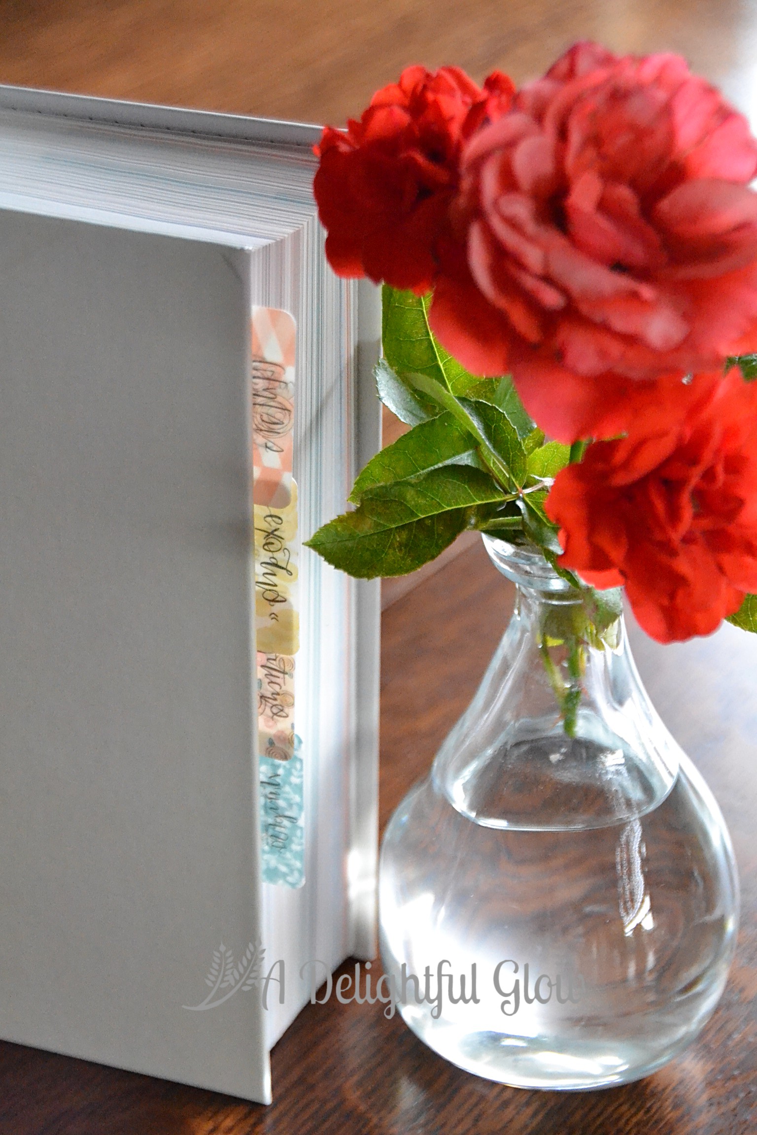 handmade-bible-tabs-coordinates-with-she-reads-truth-bible-a