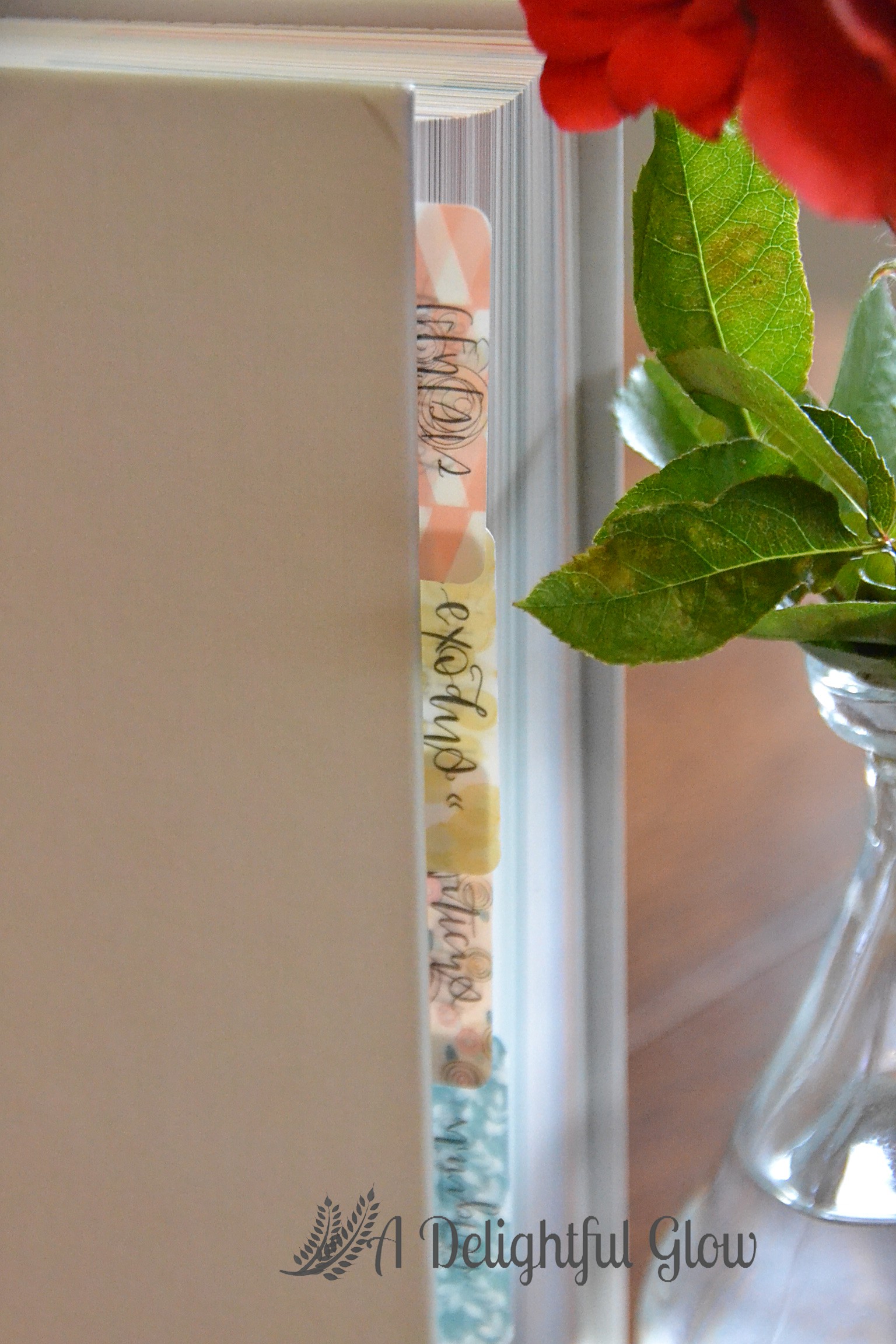 handmade-bible-tabs-coordinates-with-she-reads-truth-bible-a