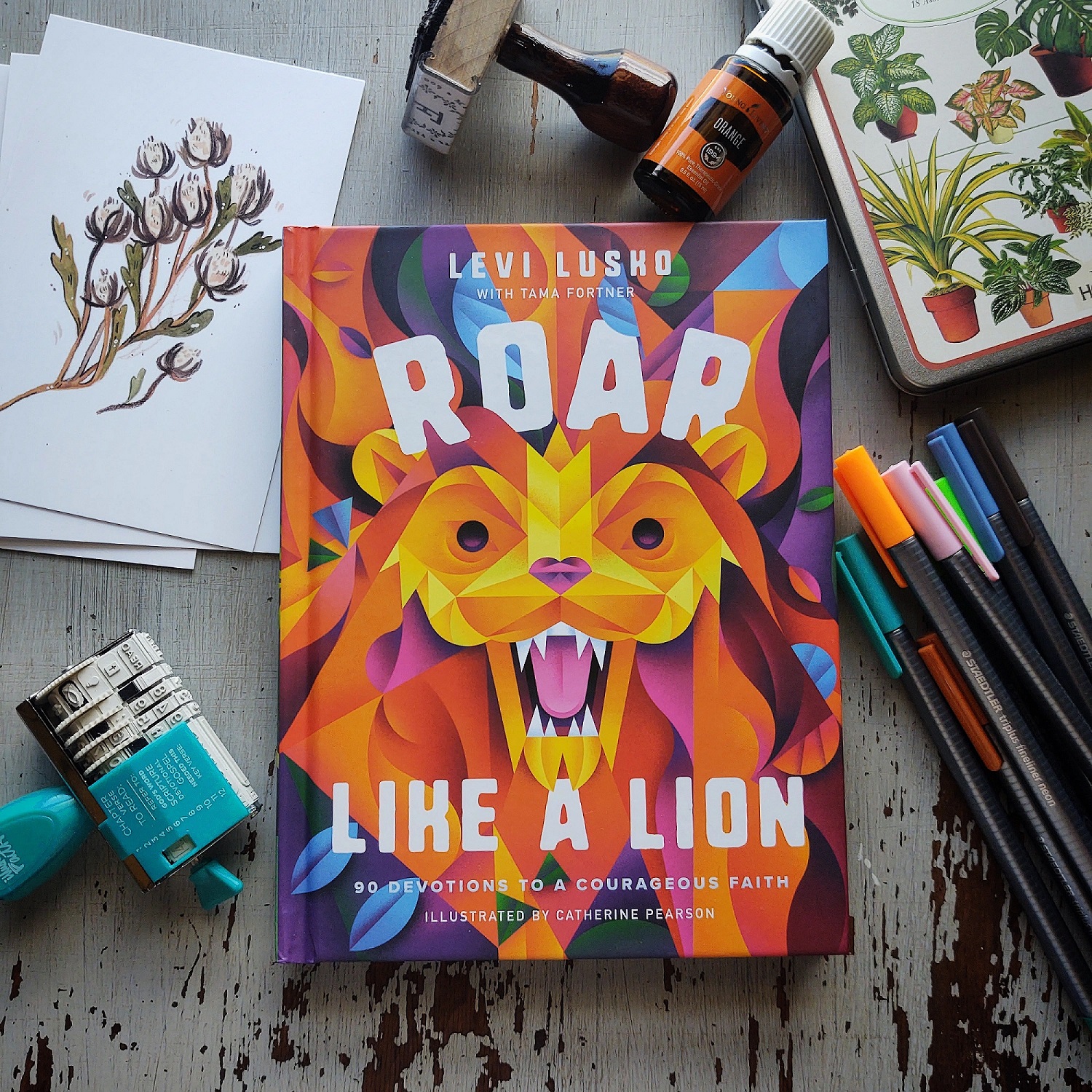 Roar Like A Lion Day | Frederick County YMCA - View #5